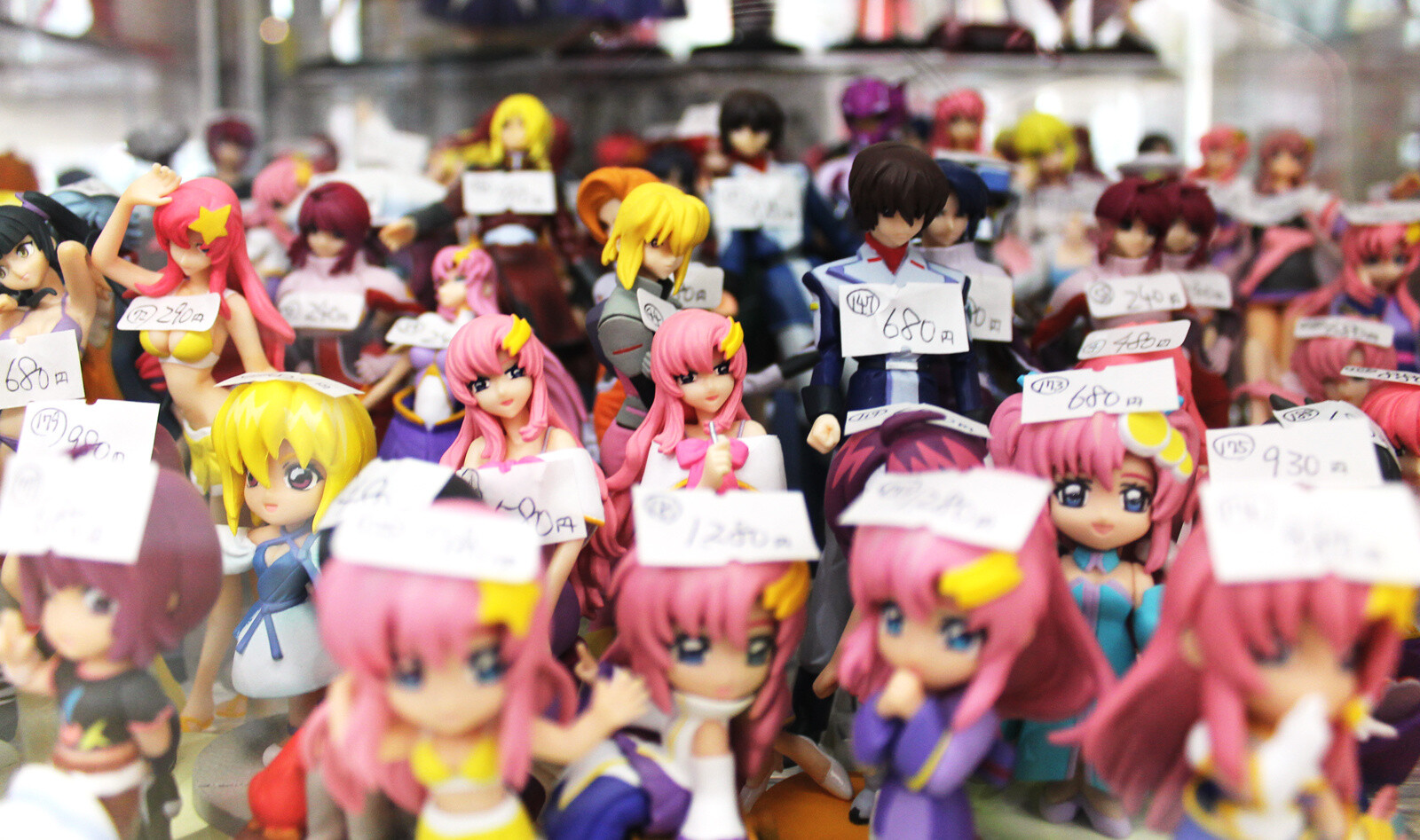 ASTOP: A Rental Showcase Specialty Shop in Akihabara 6