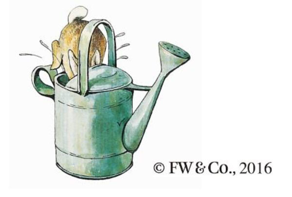 Play hide-and-seek with Peter Rabbit™! 4