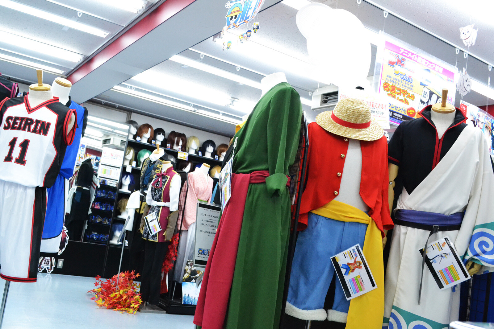 TOM Infiltrates the Best Anime Shop in the World! [1/3] 6