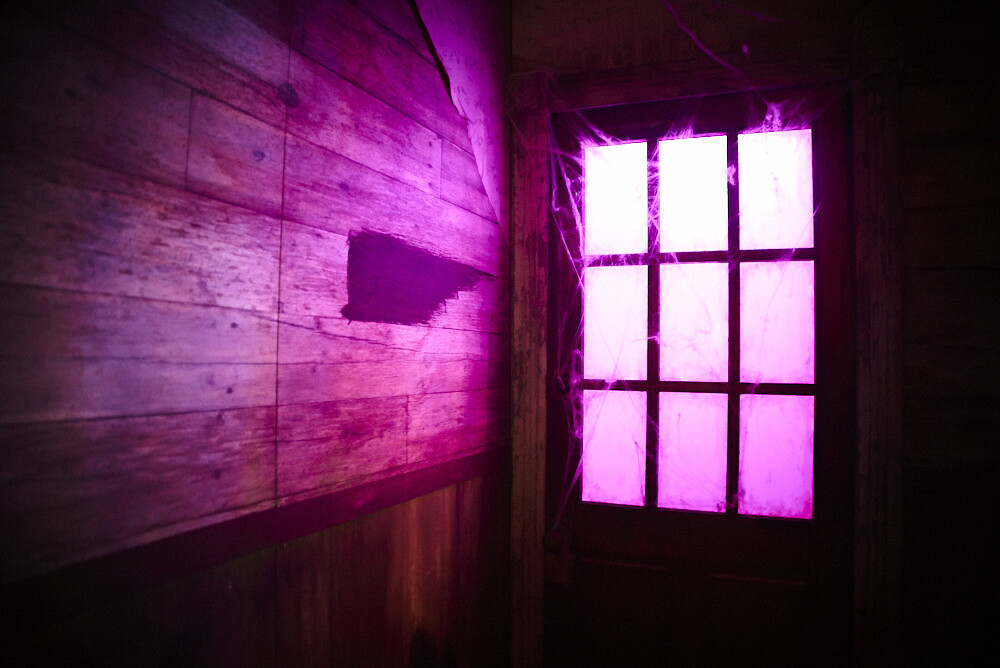 Tokyo Game Show 2016 [Photo Report] 50