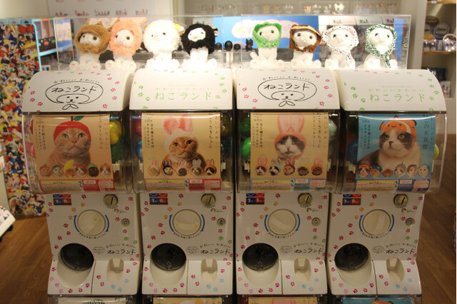 Turn Your Cat Into Hello Kitty With Adorable Collab Headwear! 13