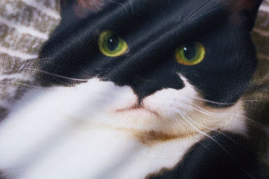 Lacking a Cat to Curl Up With? Fix That with Cute Kitty Pillow Covers! 1