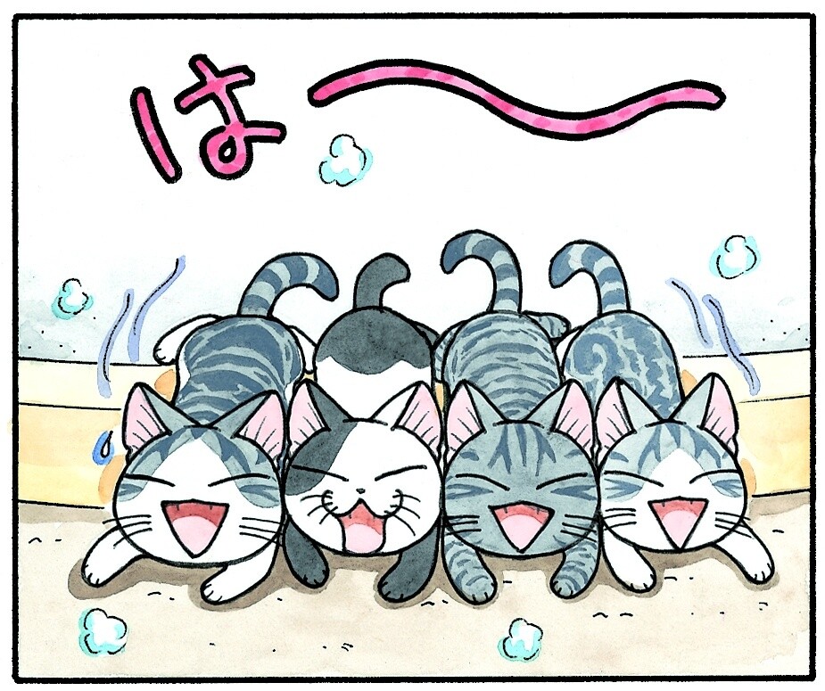 Details About 3DCG Chi’s Sweet Home Series Released! Koneko no Chi Ponponra Daiboken Airs Oct. 2! 13