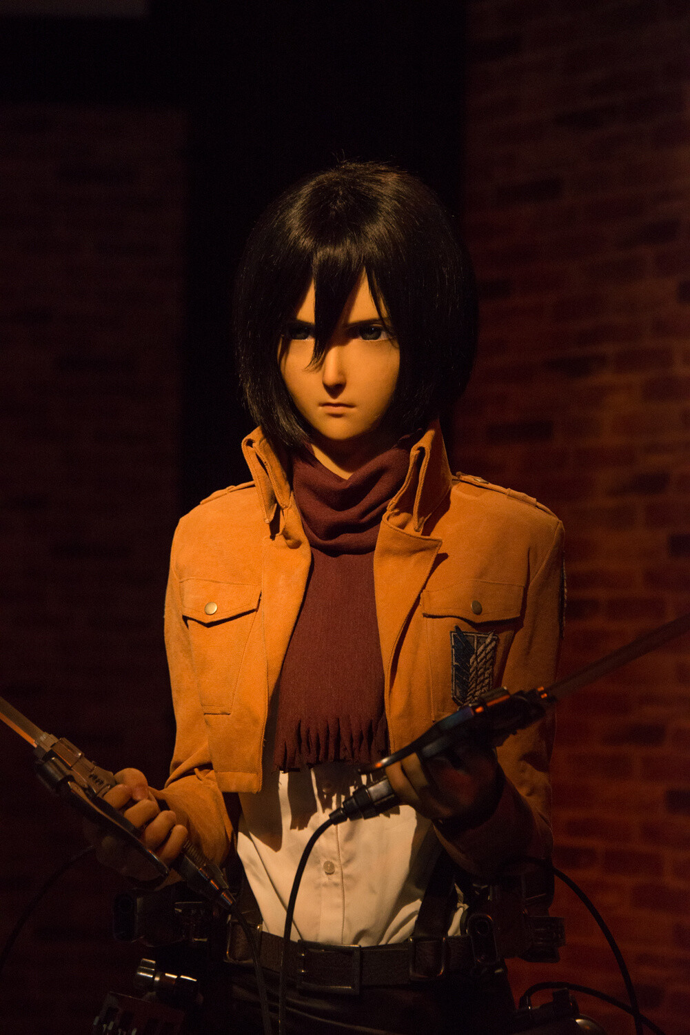  *Attack on Titan: The Real* 13