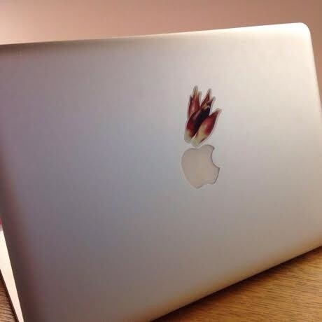 No More Naked Laptops! No More Naked Laptops! Expose Your Otaku Soul With Stickers 19