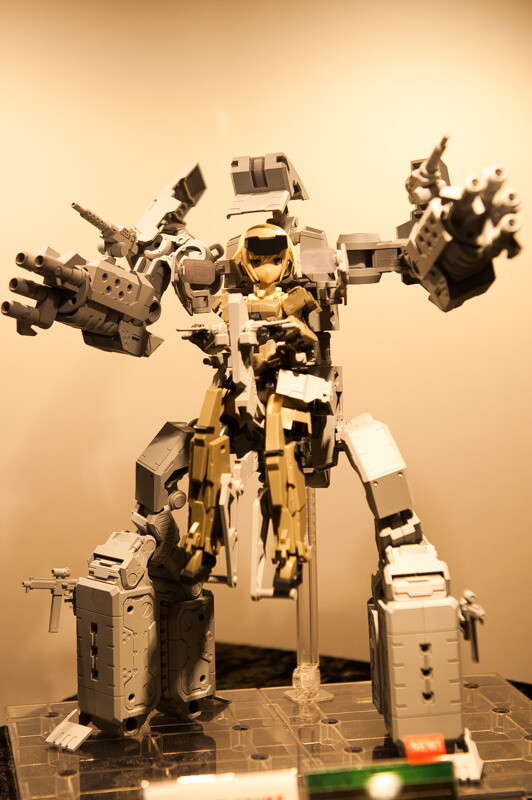 WonFes 2016 Winter Photo Collection! Part 2: Sexy & Cute 79