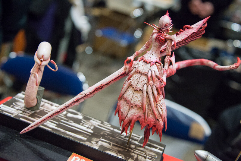 WonFes 2016 Winter Photo Collection! Part 1: Cool & Comical 35