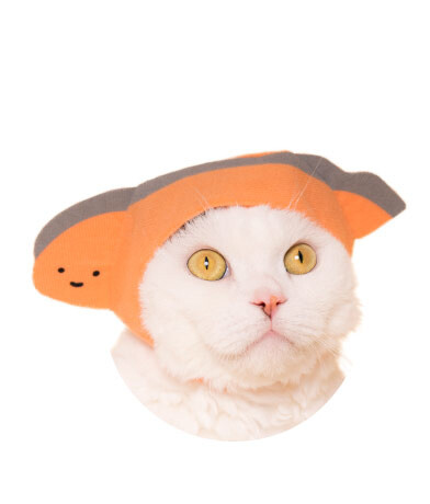 Turn Your Cat Into Hello Kitty With Adorable Collab Headwear! 4
