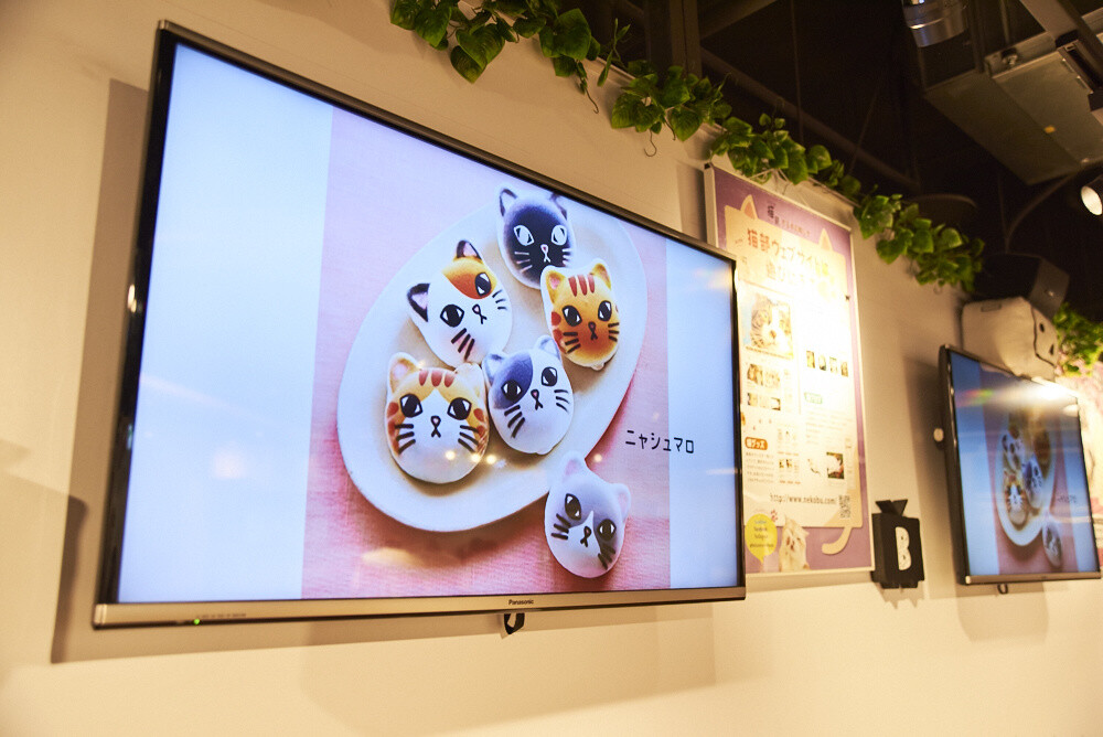 Felissimo Cat Club × nicocafe Collab Cafe: the Purrfect Place to Relax! [Photo Report] 33