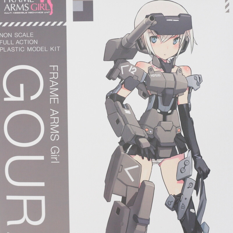 I Had a Go Putting Together and Playing Around with Frame Arms Girl Gourai! 0