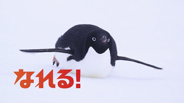 Attack on Titan Characters Transform Into Wild Animals For Museum Collab! 13