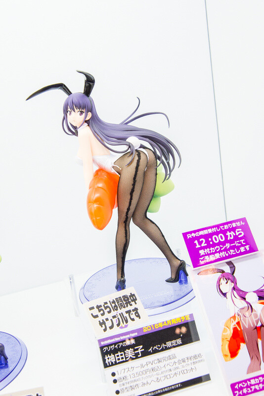 WonFes 2016 Winter Photo Collection! Part 2: Sexy & Cute 234