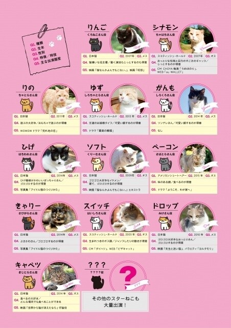 The Latest Neko Atsume No Ie Trailer Is Filled With Fluffy Kitties! (=^ω^=) 0