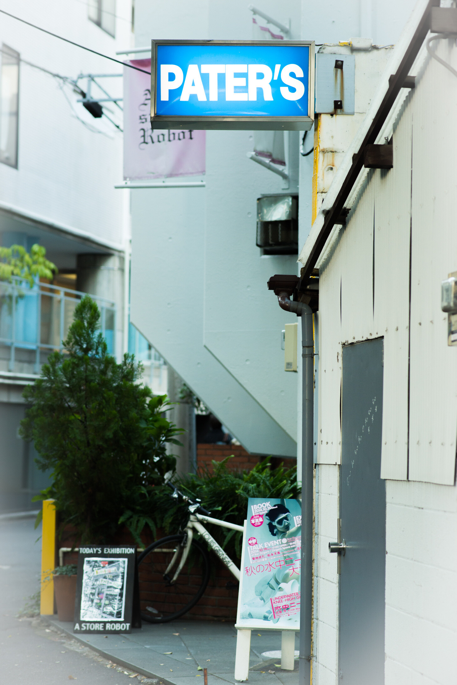 “Underwater Knee-High Girls Plus” GIVE AWAY! Dive Headfirst into the World of Underwater Knee High Socks! 25