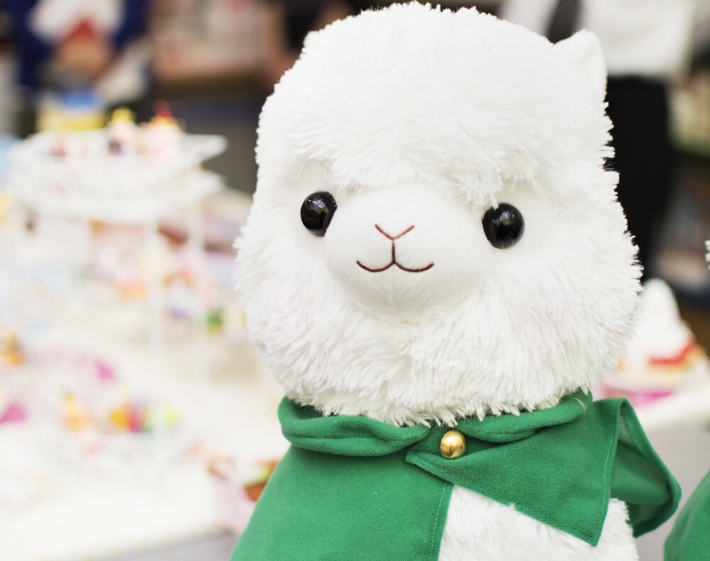 Advancing Alpacasso Corps! Sales Begin in August! 5