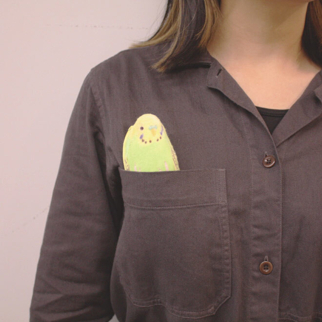 YOU+MORE! Recreate Cuteness of Parakeets as Pen Pouches! 8