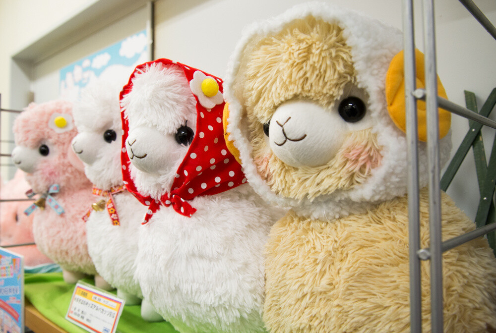 Makiba no Kids Alpacasso series 11