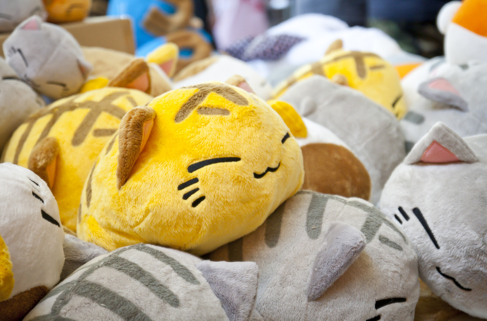 DoKomi always has plenty of otaku goods for sale.  0