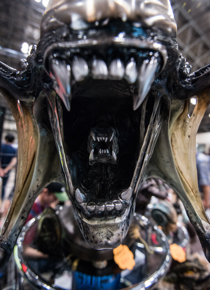 WonFes 2015 Summer Photo Collection! Part 1: Cool & Comical Edition 58