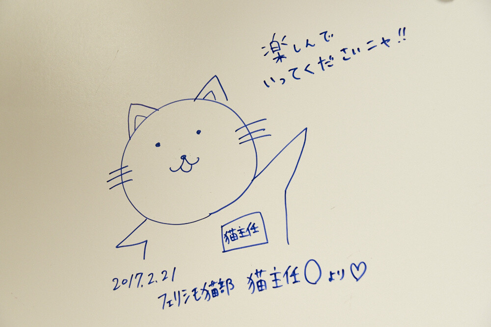 Felissimo Cat Club × nicocafe Collab Cafe: the Purrfect Place to Relax! [Photo Report] 31