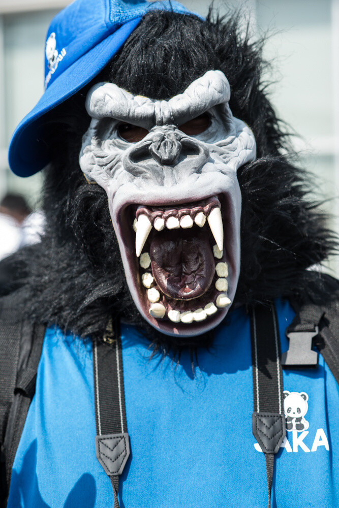 Comic Market 88 Photo Report: Comical & Cool Edition 81