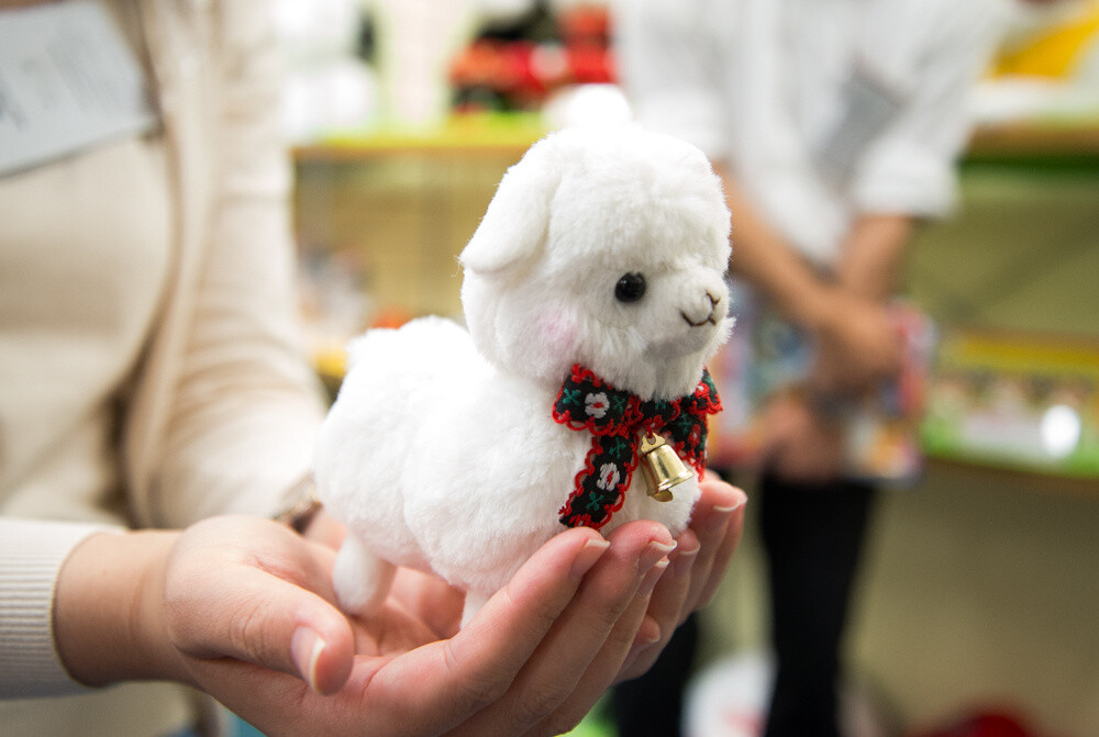 Makiba no Kids Alpacasso series 8