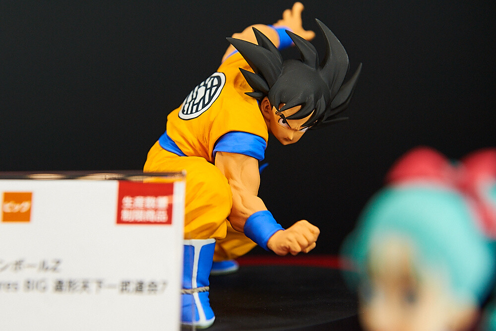 47th Prize Fair [Photo Report] 23