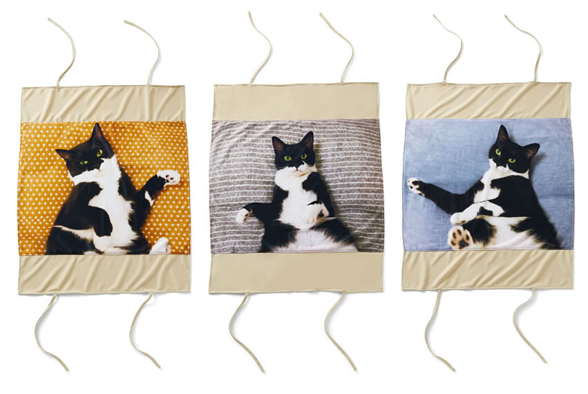 Lacking a Cat to Curl Up With? Fix That with Cute Kitty Pillow Covers! 3