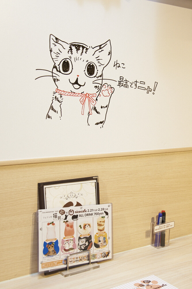 Felissimo Cat Club × nicocafe Collab Cafe: the Purrfect Place to Relax! [Photo Report] 0