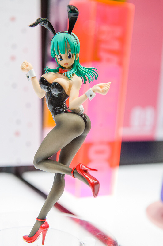WonFes 2016 Winter Photo Collection! Part 2: Sexy & Cute 23