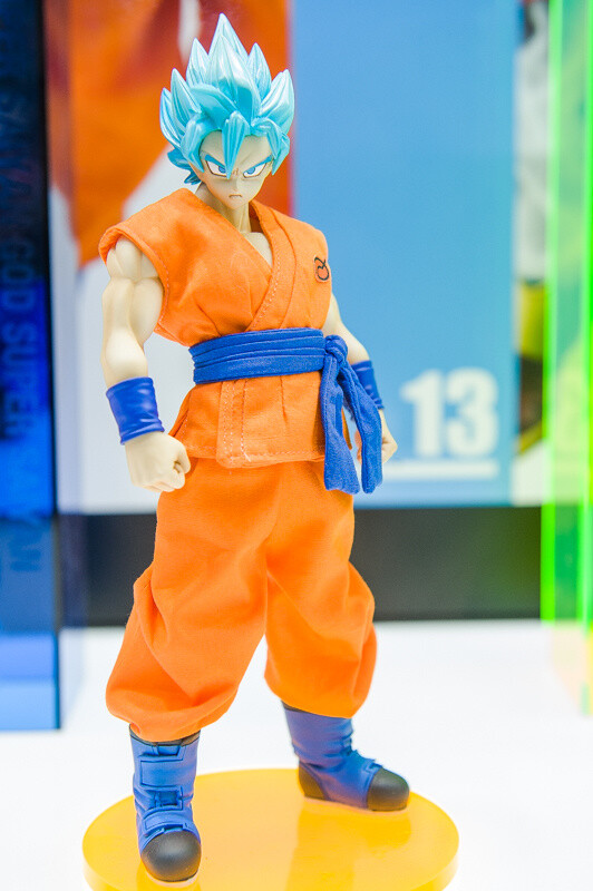 WonFes 2016 Winter Photo Collection! Part 1: Cool & Comical 116