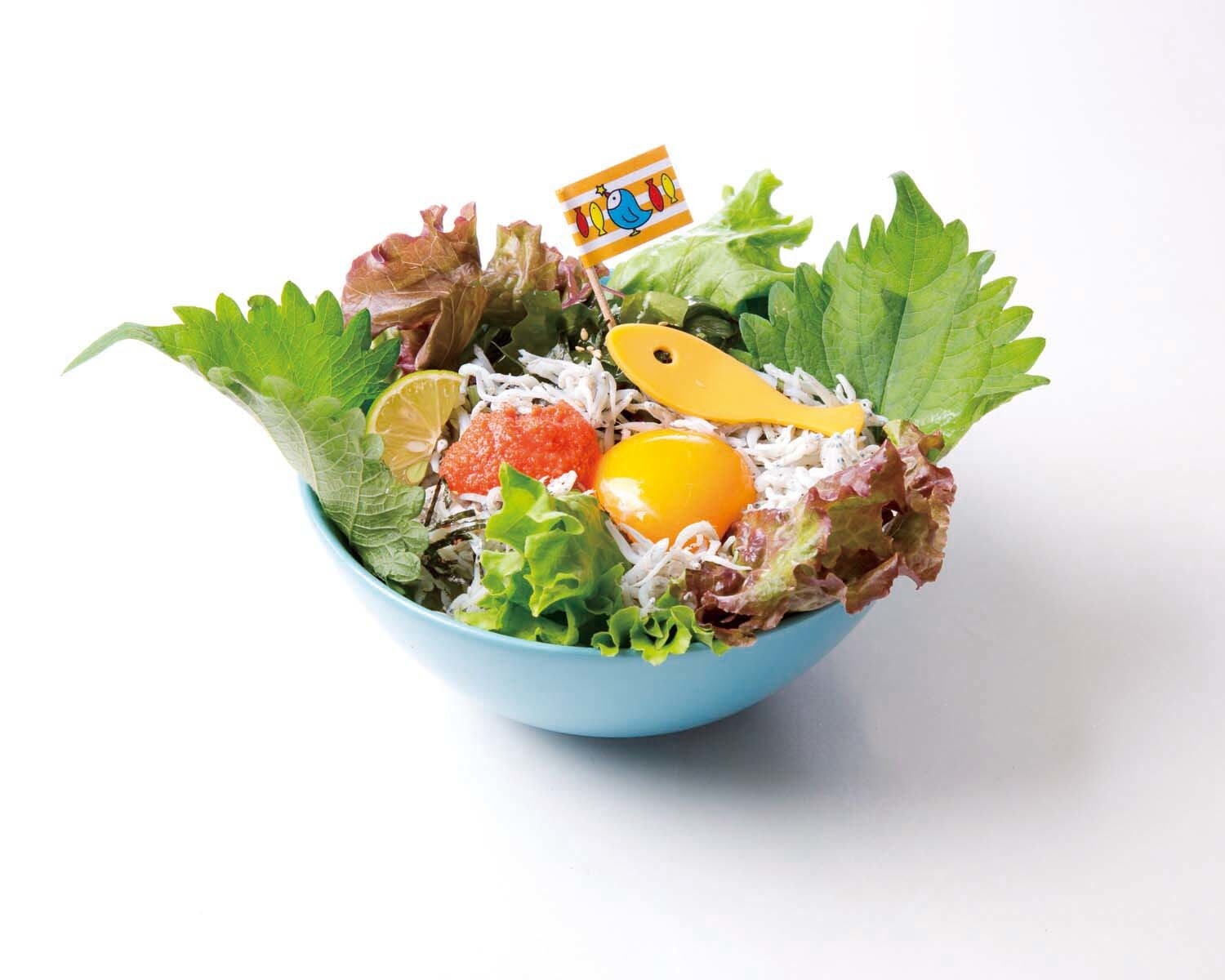 Enoshimashon’s Favorite Shirasu-don 0