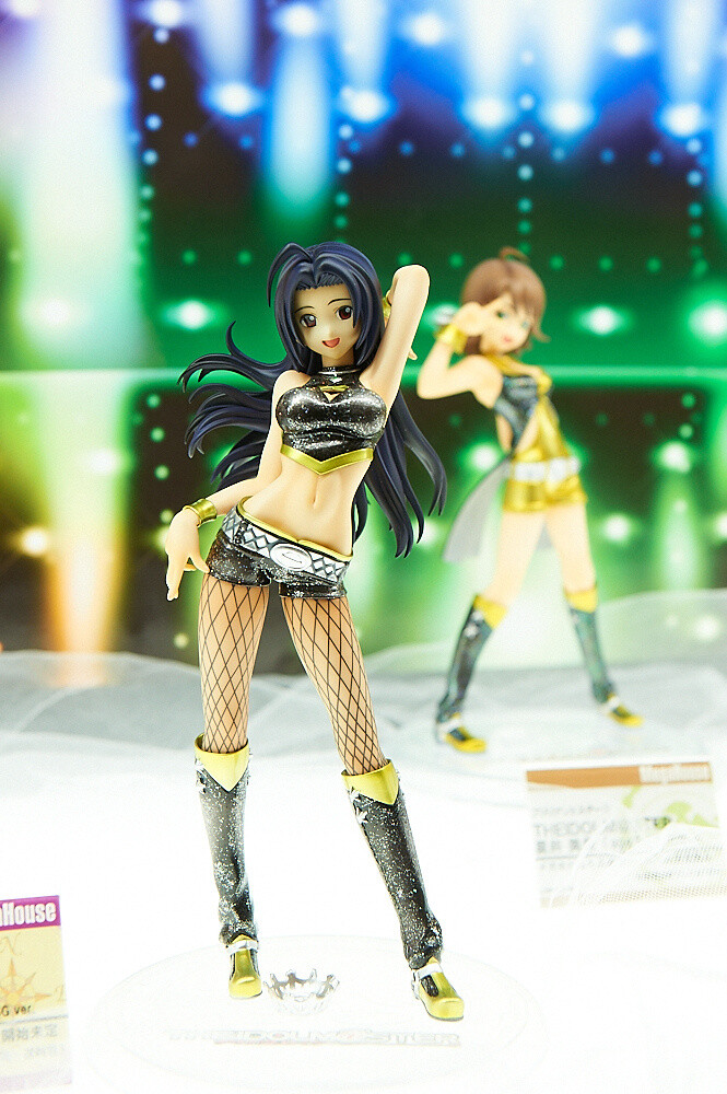 Coverage of MegaHobby Expo 2013 Autumn! 6