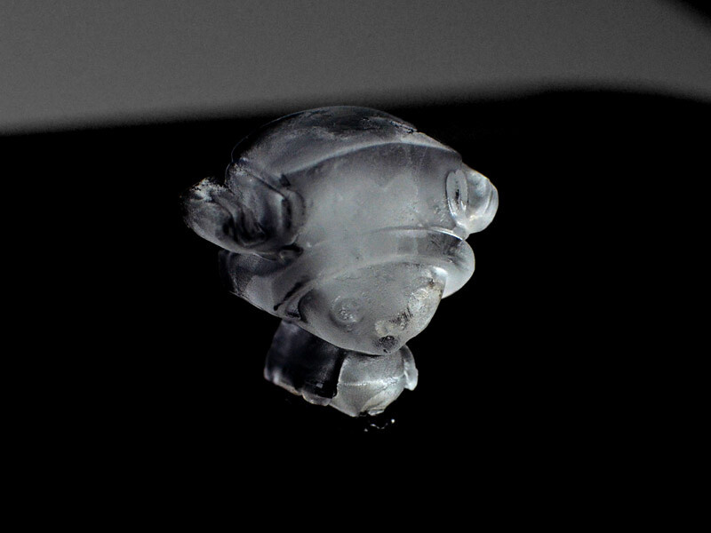 © Oda Eiichiro/Shueisha Inc., Fuji Television Network Inc., Toei Animation Co., Ltd. 3