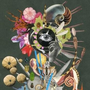 Music Video for the Opening Theme to the Anime “The Flowers of Evil” Releases 0