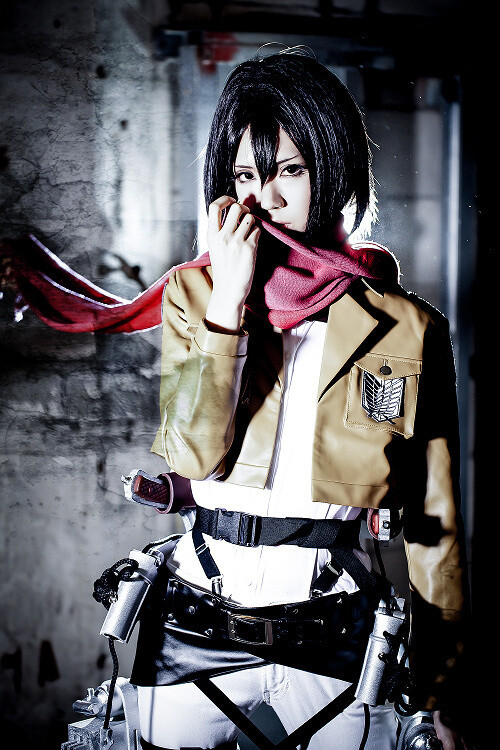 10 Pictures That Hold the Key to the Fate of Humanity [Mikasa Ackerman Creator Showcase] 5