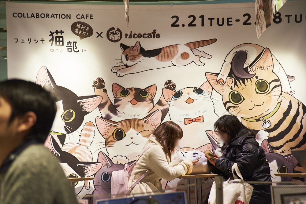 Felissimo Cat Club × nicocafe Collab Cafe: the Purrfect Place to Relax! [Photo Report] 34