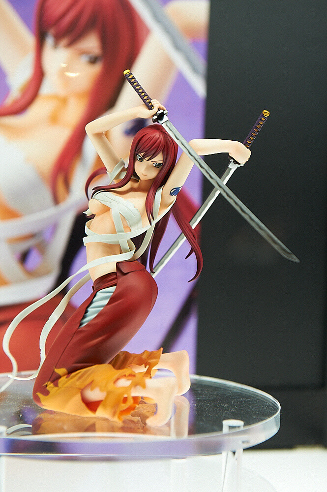 Coverage of MegaHobby Expo 2013 Autumn! 5
