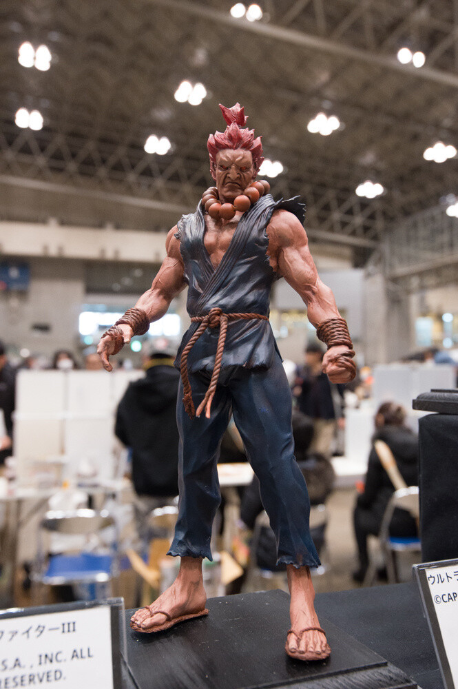 Looking Back at WonFes 2015 [Winter]! Part 1: Photo Collection of Cool & Comical Creations! 24