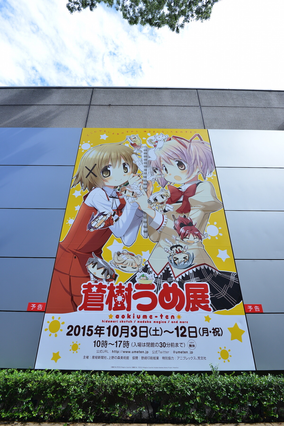 Ume Aoki Exhibition Begins 1