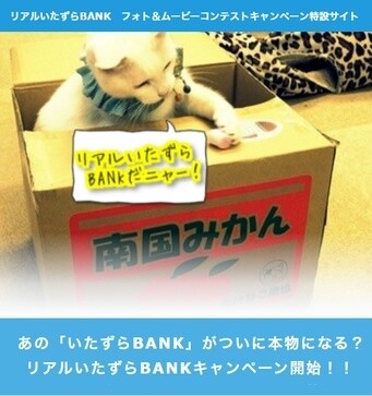 Real-Life Kitty Banks?! Itazura Bank Photo and Movie Contest Kicks Off June 6~! 0