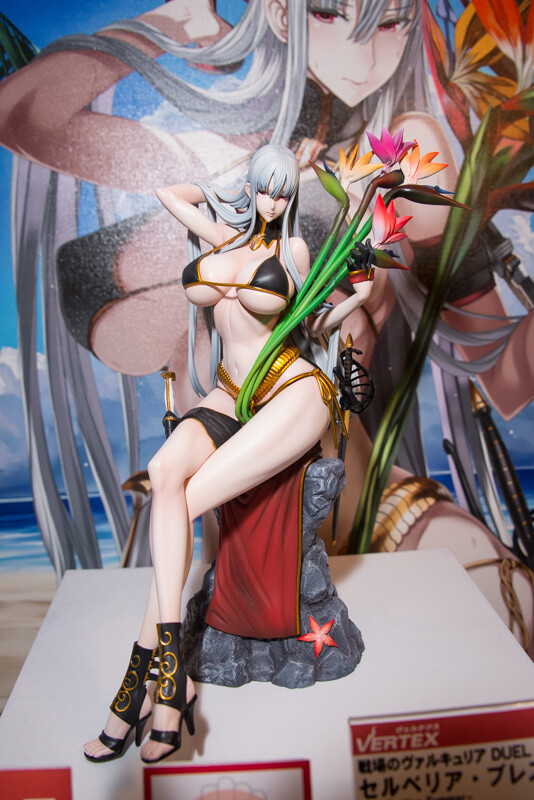 WonFes 2016 Winter Photo Collection! Part 2: Sexy & Cute 63