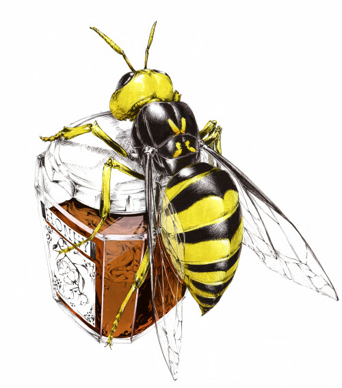 Creator Interview: sousou 3