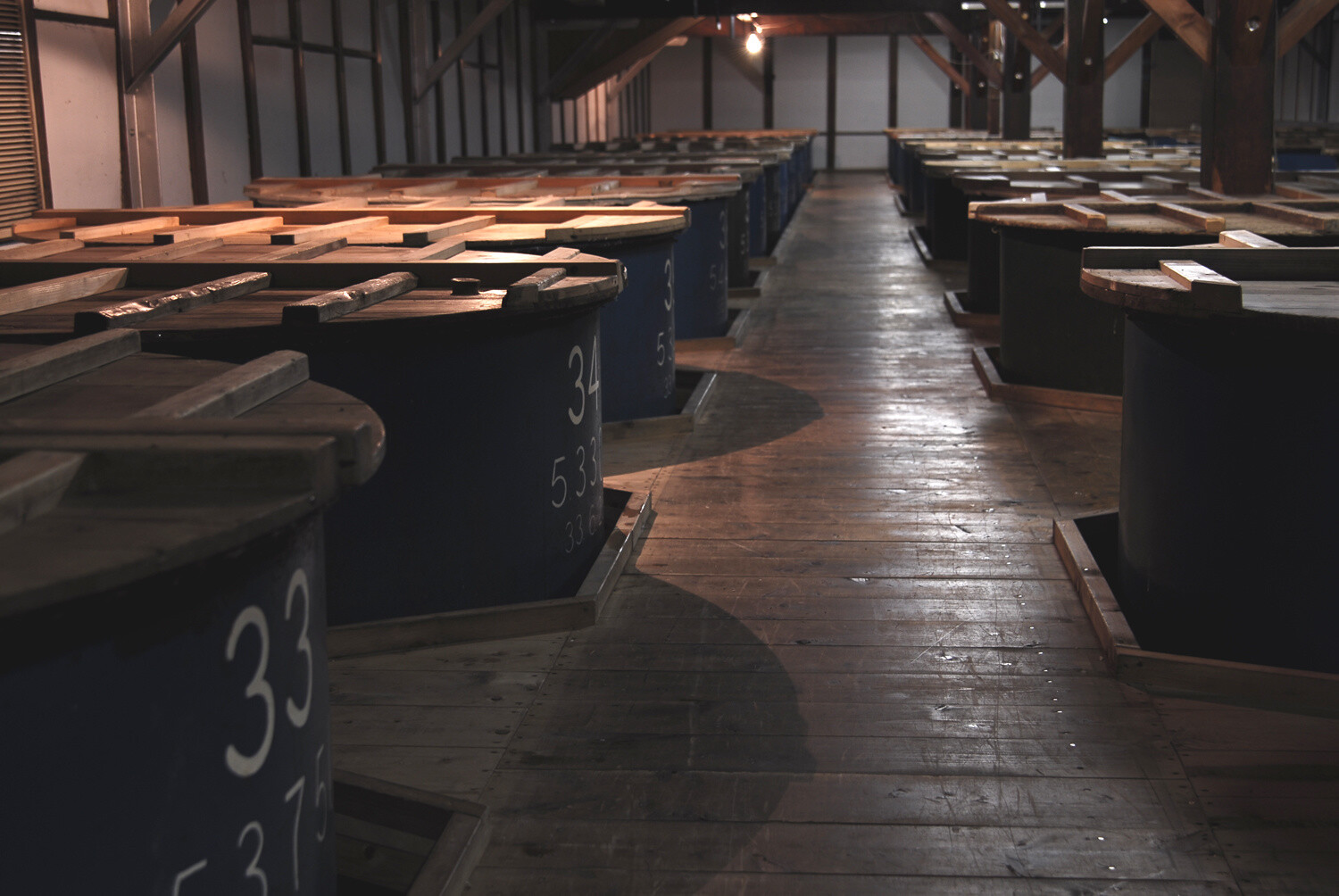 Interior of the great storehouse 2