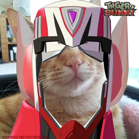 Biweekly Otaku Camera! The TOM Editorial Team’s Biweekly Nice Photo Ranking! 1