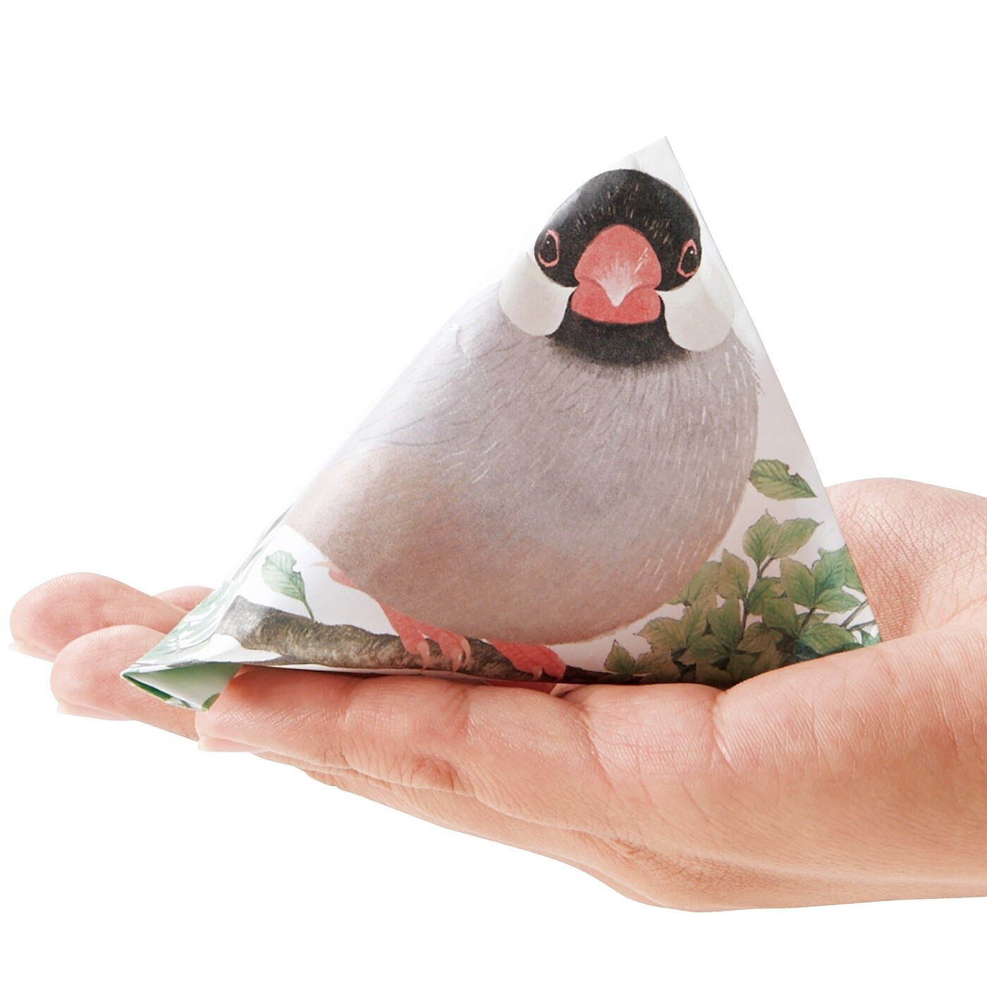 These Java Sparrow Pouches Are Sweet as Mochi! 6