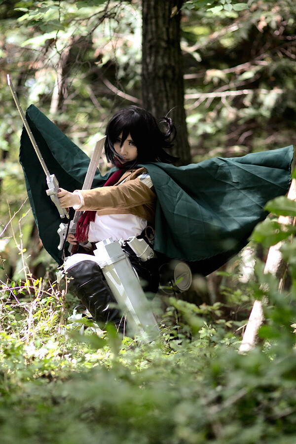 10 Pictures That Hold the Key to the Fate of Humanity [Mikasa Ackerman Creator Showcase] 1