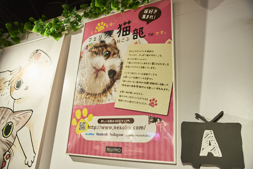 Felissimo Cat Club × nicocafe Collab Cafe: the Purrfect Place to Relax! [Photo Report] 32