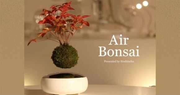 Japanese Company Develops Unique “Air Bonsai” That Floats and Rotates in Mid-Air【Video】 0