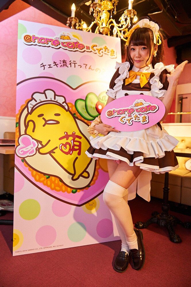 Gudetama x Maid Cafe Collab [Photo Report @home cafe] 2